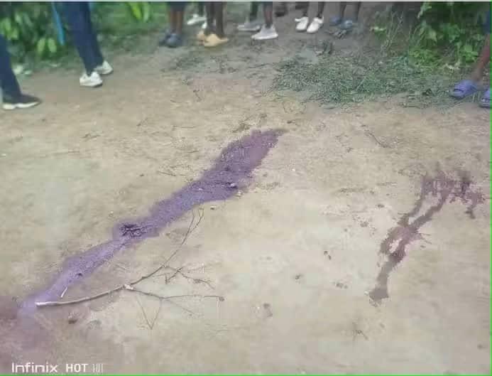 Haut-Uélé : Une nouvelle attaque armée plonge le village Renzi dans la terreur