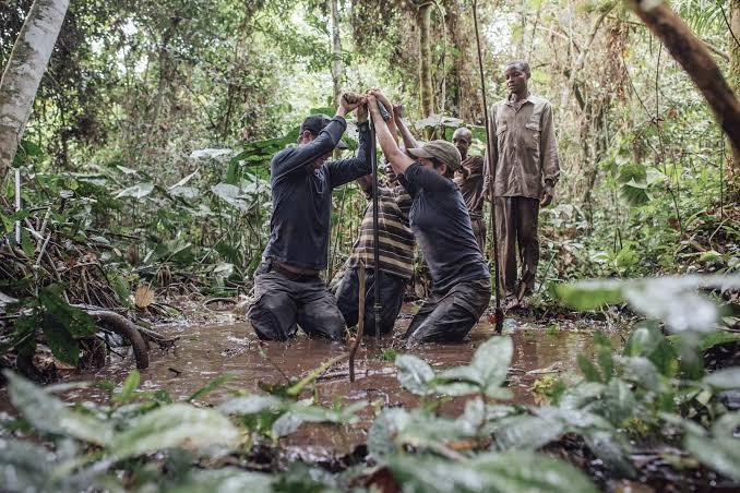 Les Tourbières de la RDC : Un Trésor Écologique aux Enjeux Économiques et de Développement