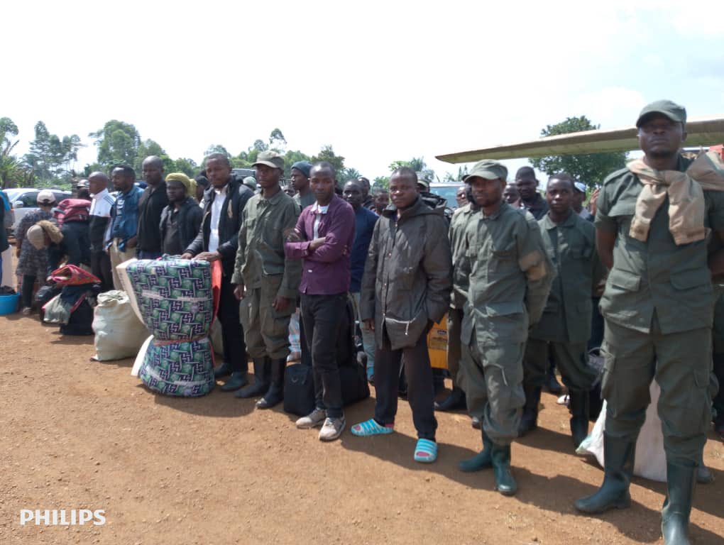 Nord-Kivu : Vague de désertions massives au sein du M23/RDF, plus de 300 combattants se rendent aux FARDC